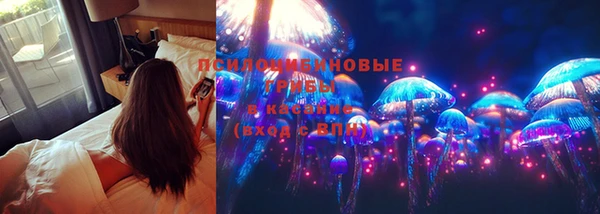марки nbome Вяземский
