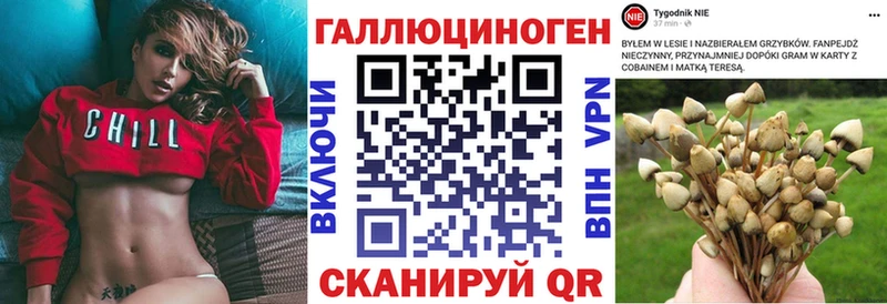 Псилоцибиновые грибы GOLDEN TEACHER Пикалёво